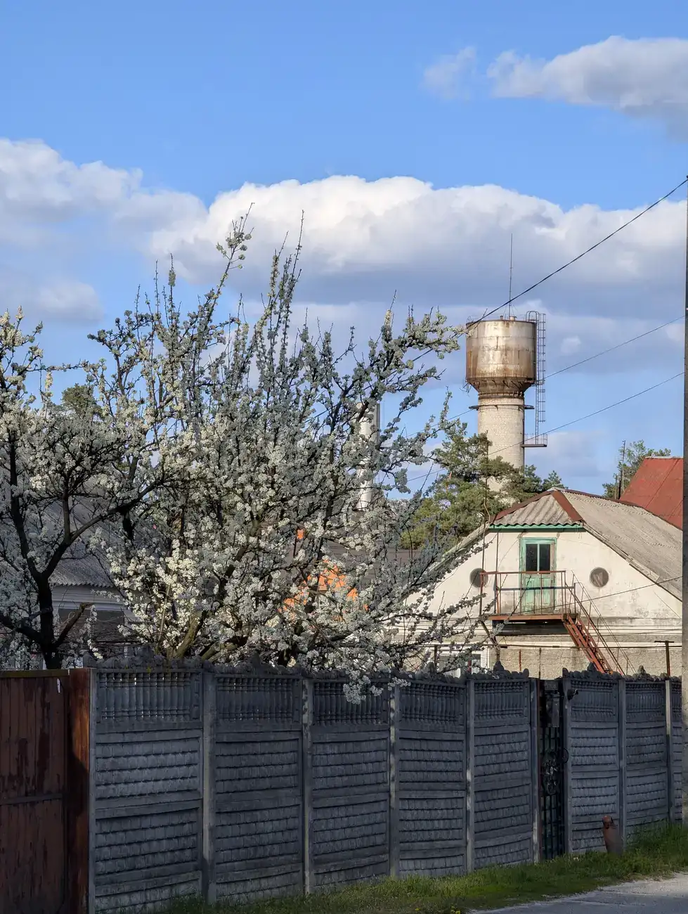 Prolisky — Spring