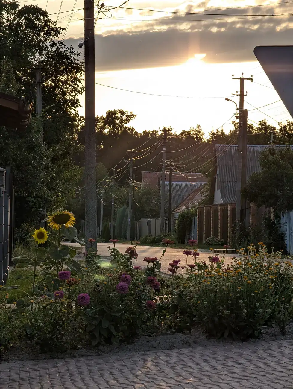 Prolisky — Summer