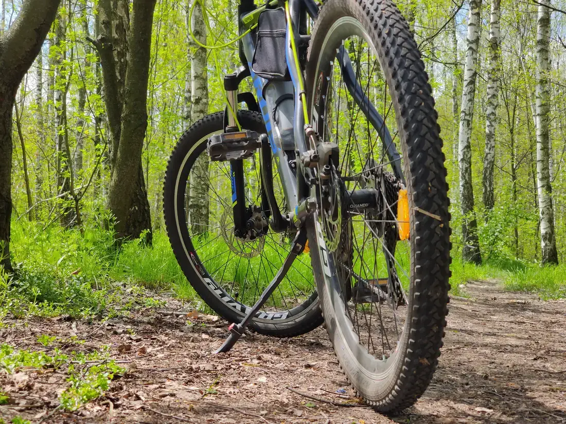 Cycling through the forest