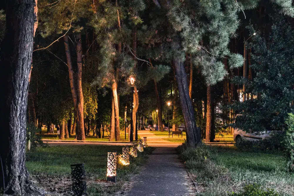 The pine park